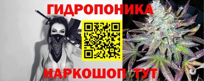 молекула духа Кулебаки
