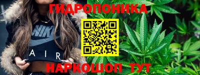 молекула духа Кулебаки