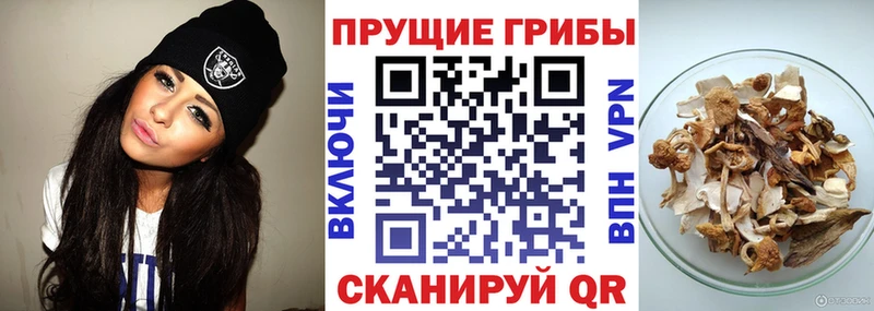 Галлюциногенные грибы MAGIC MUSHROOMS Керчь