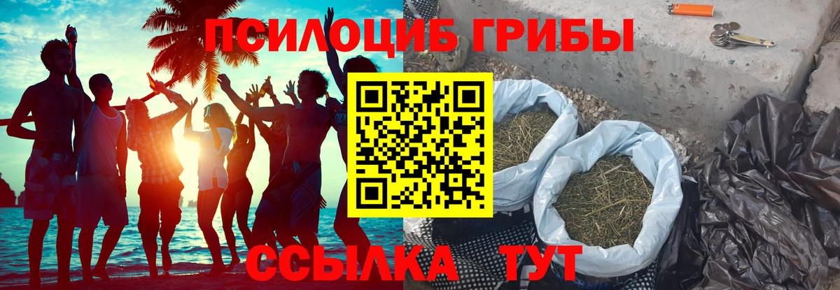 наркота  Вход с VPN  Галлюциногенные грибы Cubensis  Керчь  Псилоцибиновые грибы Cubensis 